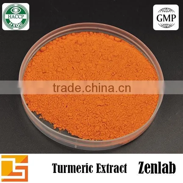 Curcumin Powder 95% Turmeric Extract Hot Sell Price Curcumin for Wholesale Turmeric Buyers photo-5