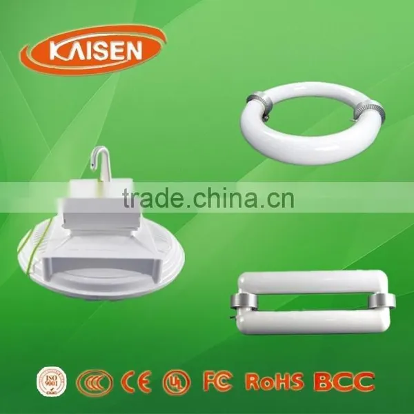 induction light source