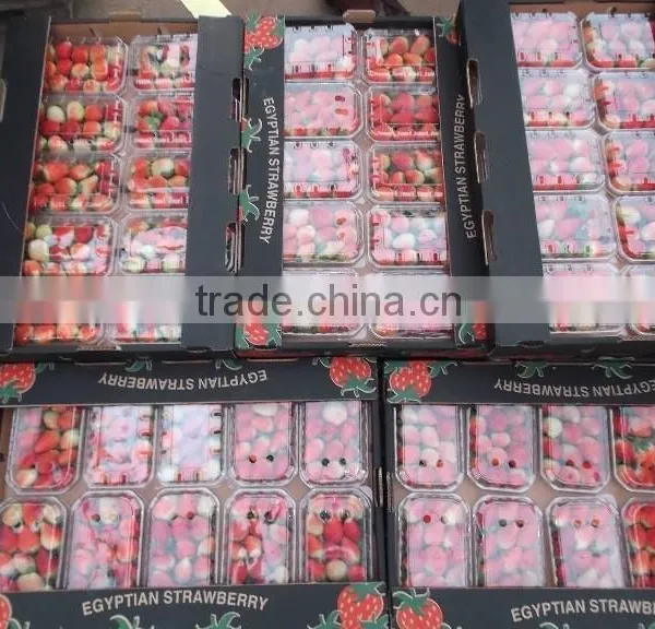 Egyptian Frozen Strawberry photo-2