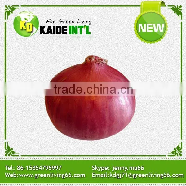 Popular Equipment Fresh Small Onion photo-3