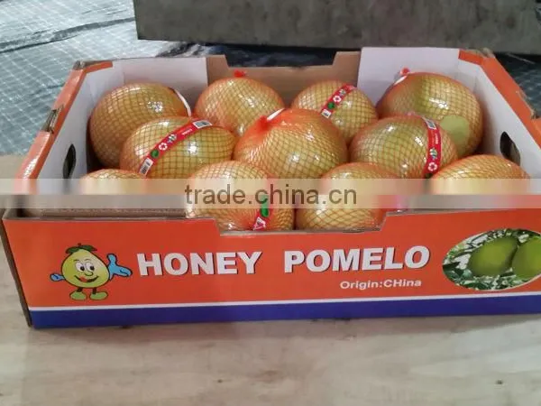 Pomelo New Crop photo-3