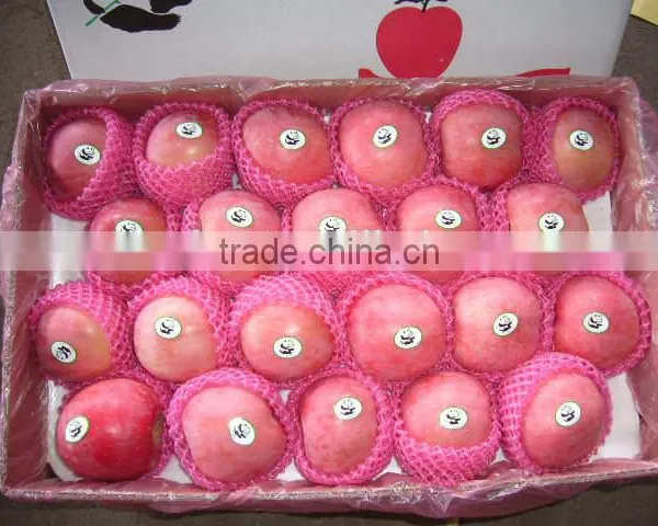 2016 New Season Fuji Apple Fruit photo-3