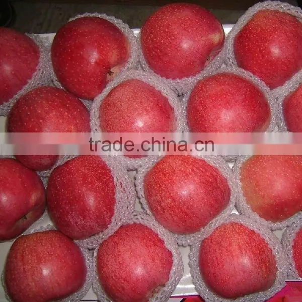 Hot Sale Chinese Apple Fruit Fresh Qinguan Apple