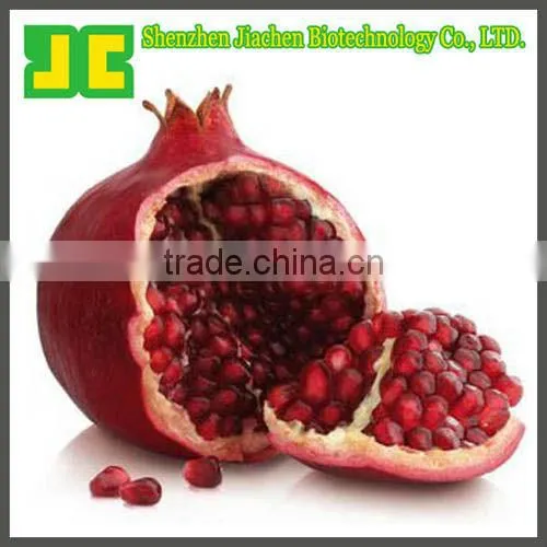 Organic Pomegranate Concentrate Powder 5:1&10:1 With High Quality
