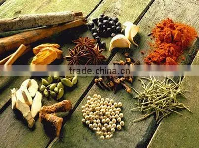 Golden Madras Curry Powder photo-2