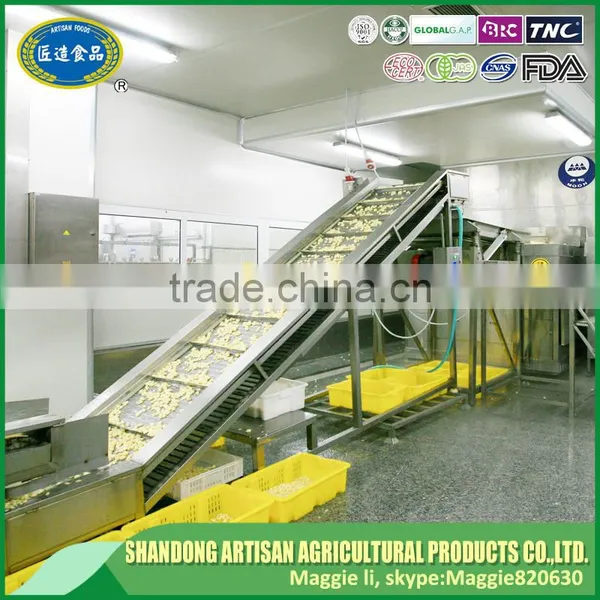 Professional Factory Direct Sale IQF Frozen Diced Garlic With Lowest Price photo-5