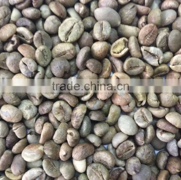 HIGH QUALITY ROBUSTA COFFEE BEANS photo-3
