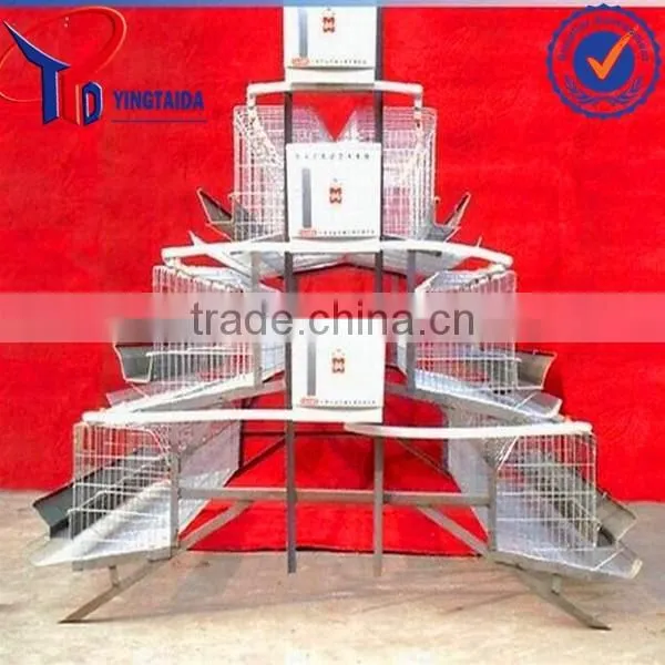 Anping Layer Chicken and Broiler Chicken Cage Factory photo-5