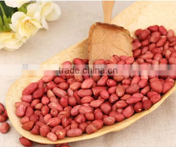 High Efficiency !!! Peanut Skin Peeling Machine/Peanut Skin Sheller Machine/Peanut Red Skin Removing Machine With Factory Price photo-6