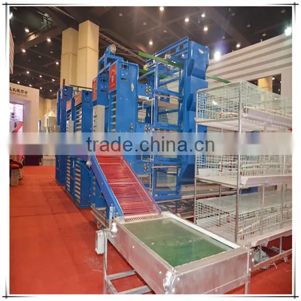 Automatic High Efficiency Poultry Layer Farming Equipment for Sale
