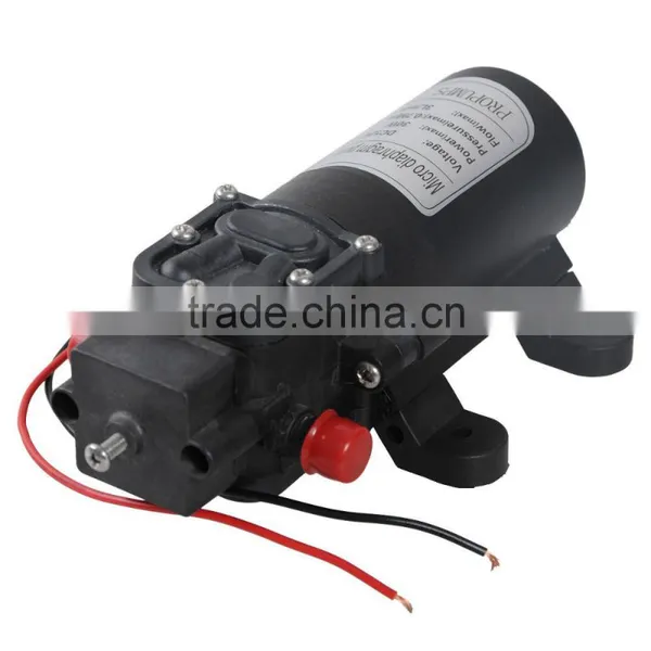 15w30w Micro Diaphragm High Pressure Water Pump With Automatic Switch photo-2