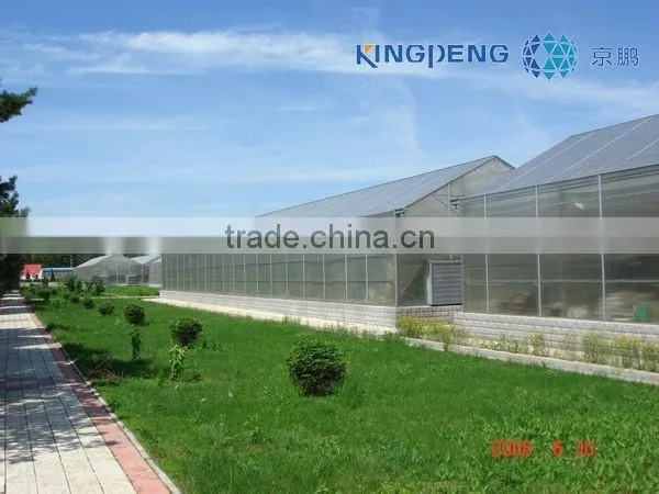 Venlo Agricultural Polycarbonate Sheet Greenhouse photo-2
