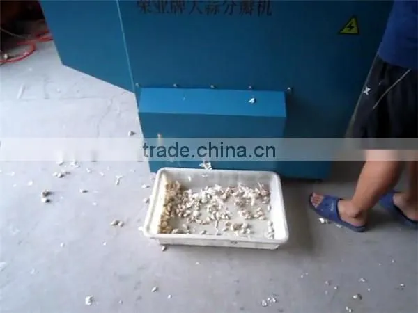 Good Selling Garlic Clove Separator Machine With Factory Price photo-6