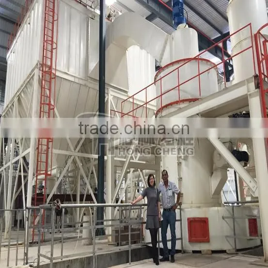 Iran Raymond Mill / Powder Making Machine / Pulverizer in Iran photo-4
