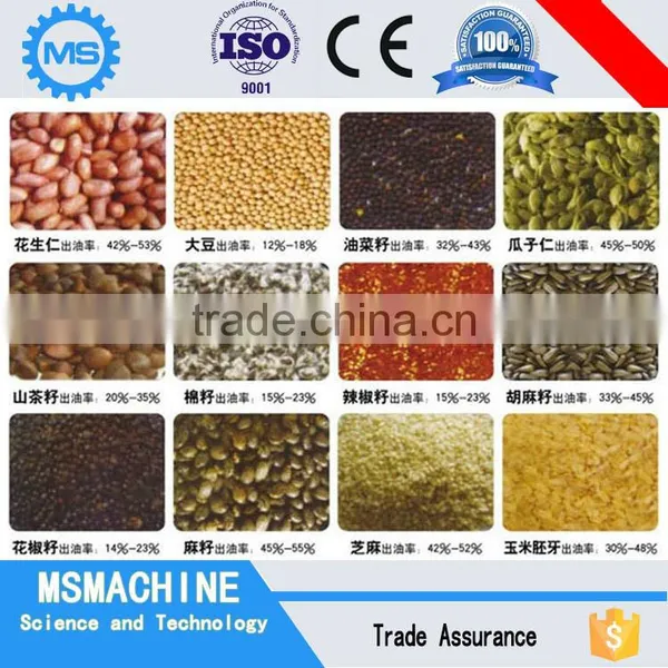 Automatic Mini Heat Olive Coconut Oil Press Machine photo-2