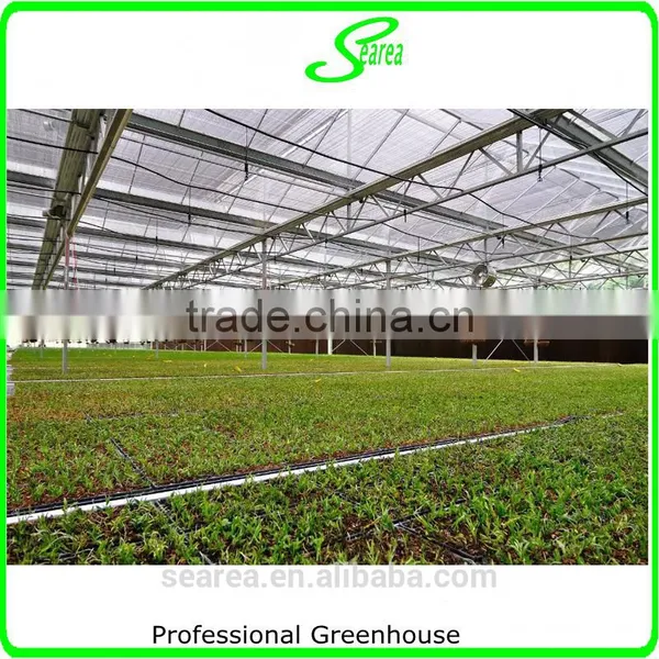 Hot Sale Tropical Greenhouse photo-5