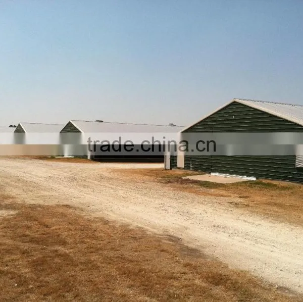 BT Factory Chicken Farming for Broiler Chicken photo-4