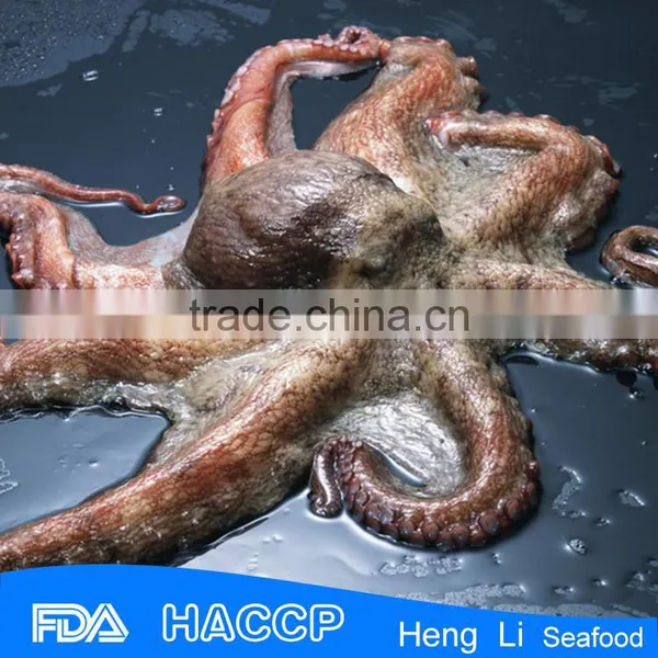 Frozen Whole 200g Seasoned Wasabi Octopus photo-2