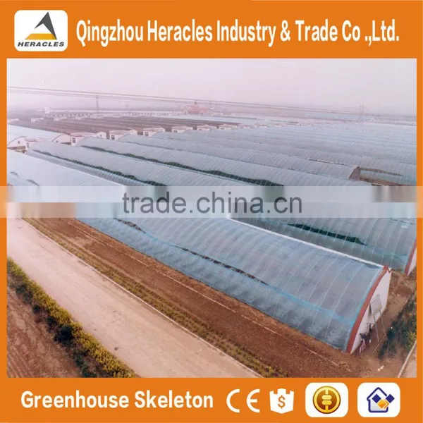 Heracles Low Cost Sunlight Indoor Greenhouse photo-5