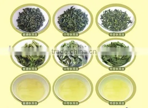 Green Tea,Organic Green Tea.green Tea Powder,instant Green Tea Powder