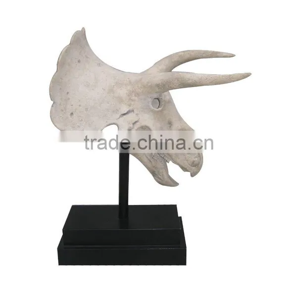 Fossils