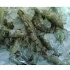 Chilled/Fresh Black Tiger Shrimp