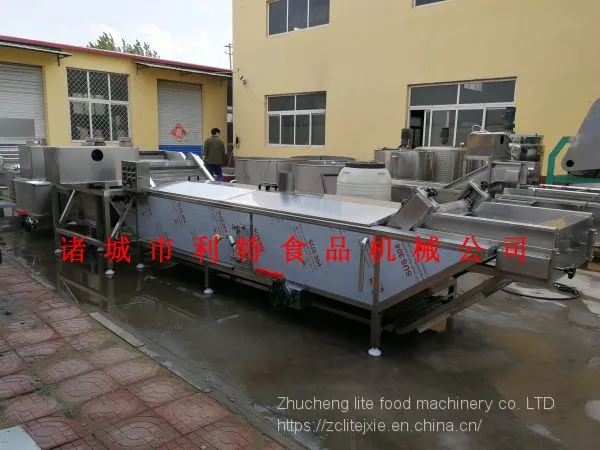 Vegetable Salad Production Line Vegetable Pre-cooking Machine Vegetable Pre-cooking Equipment Manufacturer photo-5
