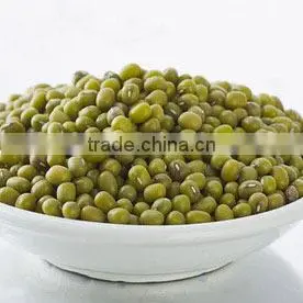 Green Mung Bean photo-2