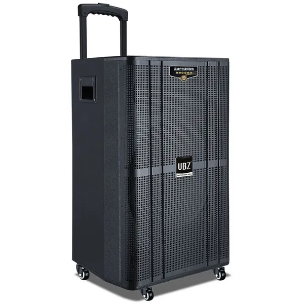 12-inch Outdoor Party Subwoofer With Bluetooth photo-4