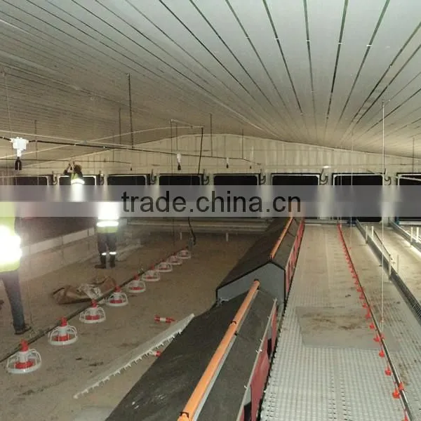 Light Steel Prefab Farm House for Chicken photo-3