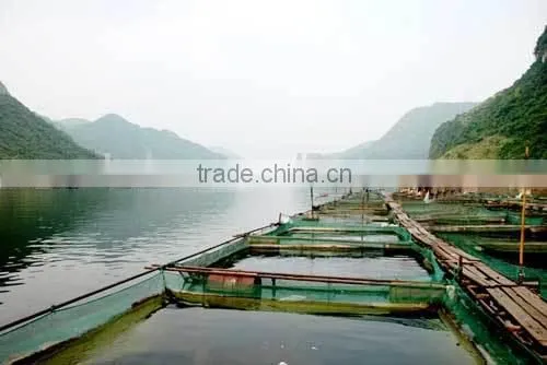 Aquatic Product to Keep Pond Water Fertile and Bright photo-3