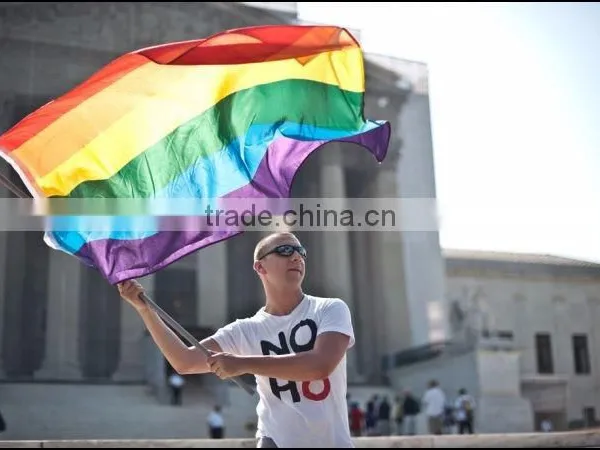 Custom Size Polyester Printed Type Rainbow Flag photo-5