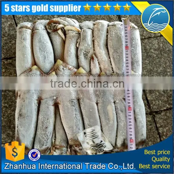 Frozen Illex Squid Price, Seafrozen Jigger Catch Illex Squid photo-6