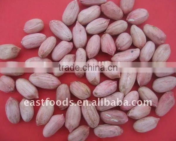 Long Type Peanut Kernel From China photo-5