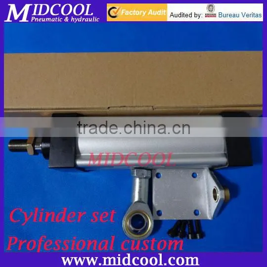 Pneumatic Cylinder Set Professional Custom Festo