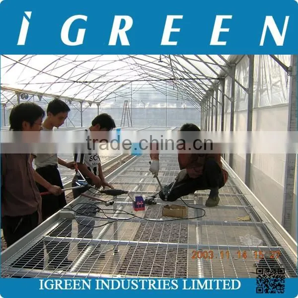 Commercial Greenhouse Seeding Bench photo-5