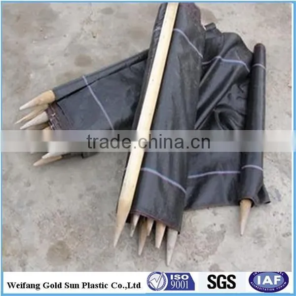 pp Weed Barrier Cloth, pe Weed Barrier With Low Price photo-2