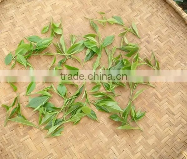 Vietnam Traditional GREEN TEA photo-5