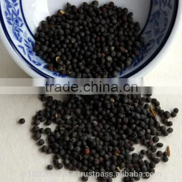 Mustard Seeds