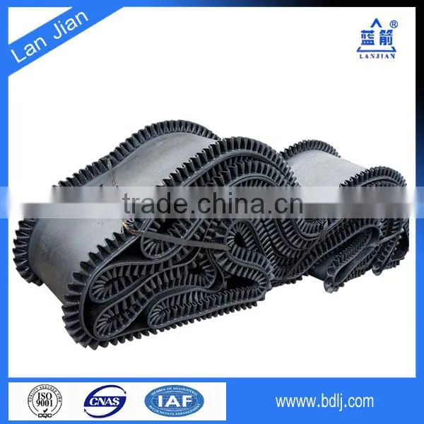 Chinese Professional Manufacturer 90 Degree Belt Conveyor photo-4