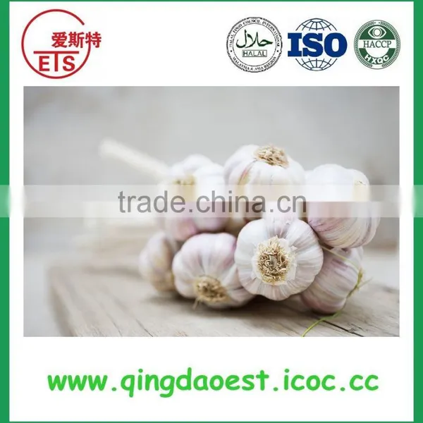 Jining White Garlic in Mesh Bag or Carton to Singapore photo-2