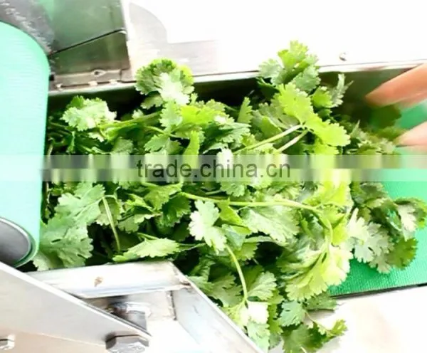FC-306 Automatic Electric Vegetable Slicer Equipment Shredder Machine photo-4