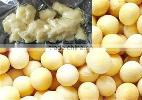 Medical Grade Lecithin Phosphatidylcholine(PC) Soya Lecithin Supplier photo-2