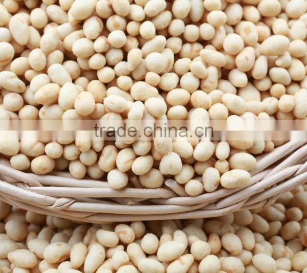 Baoquan Squid Coated Peanuts
