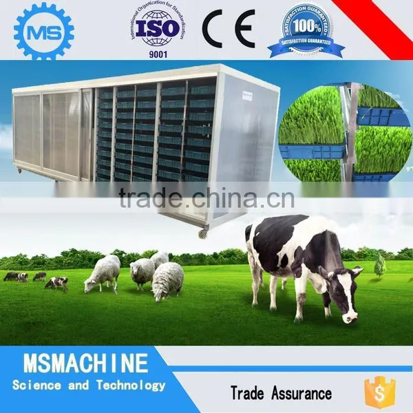 Feed Machine Type Barley for Cattle Feed 0086-18637440378 photo-6