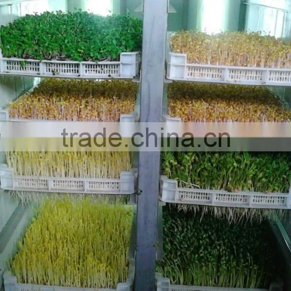 Full Automatic Hydroponic Organic Bean Sprouts Machine photo-5