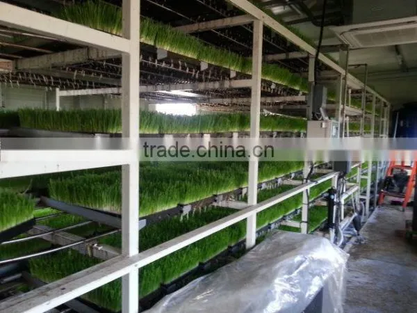 BK Conveyor Culture photo-2