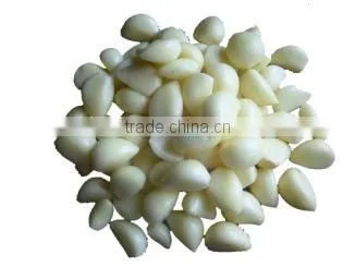 Large Machine Cutter Chengdu Mashed Garlic Ginger Garlic Machine of High Quality Stainless Steel Blade Free Use of a Machine photo-2