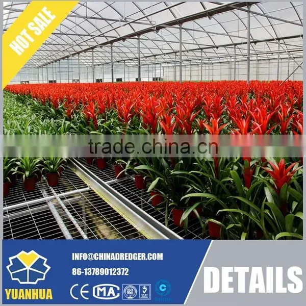 Glass Greenhouse for Vegetable and Flowers Growing photo-3