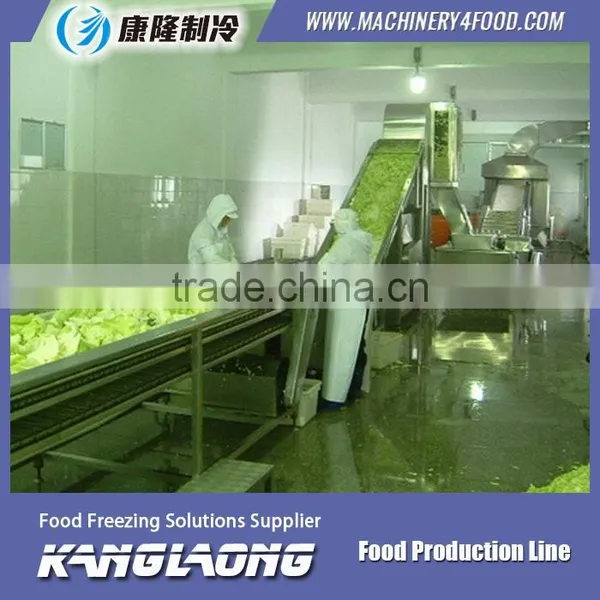 Large Output clean vegetable processing line